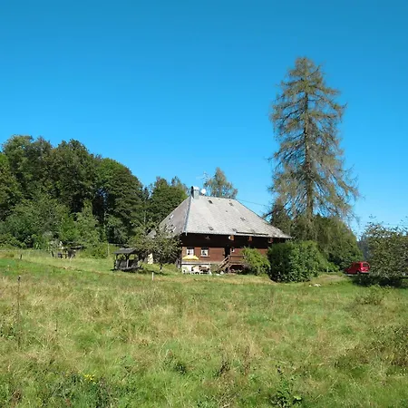 Bistenhof By Interhome Hinterzarten